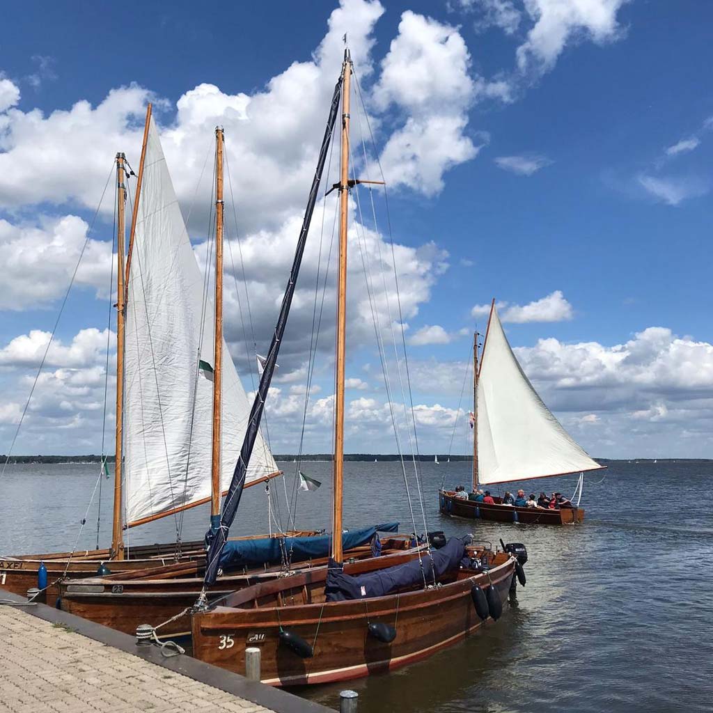 Auswanderer am Steinhuder Meer